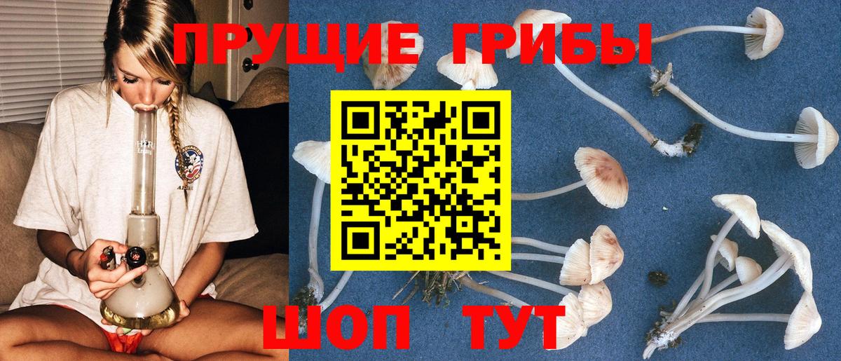 Галлюциногенные грибы мицелий  Вход с VPN  Павловский Посад 